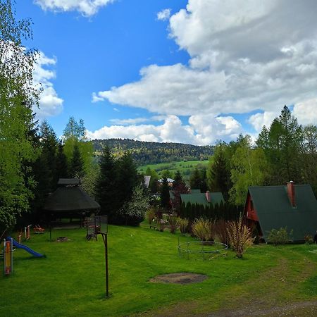 Domki Nad Potokiem W Baligrodzie Kültér fotó